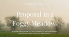 Proposal in a Foggy Meadow
